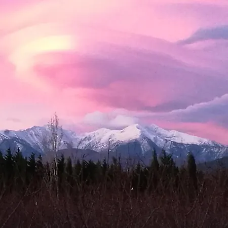 Mas La Mouillere Camélas